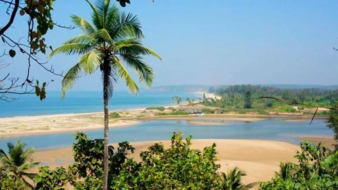 Morjim beach in North Goa