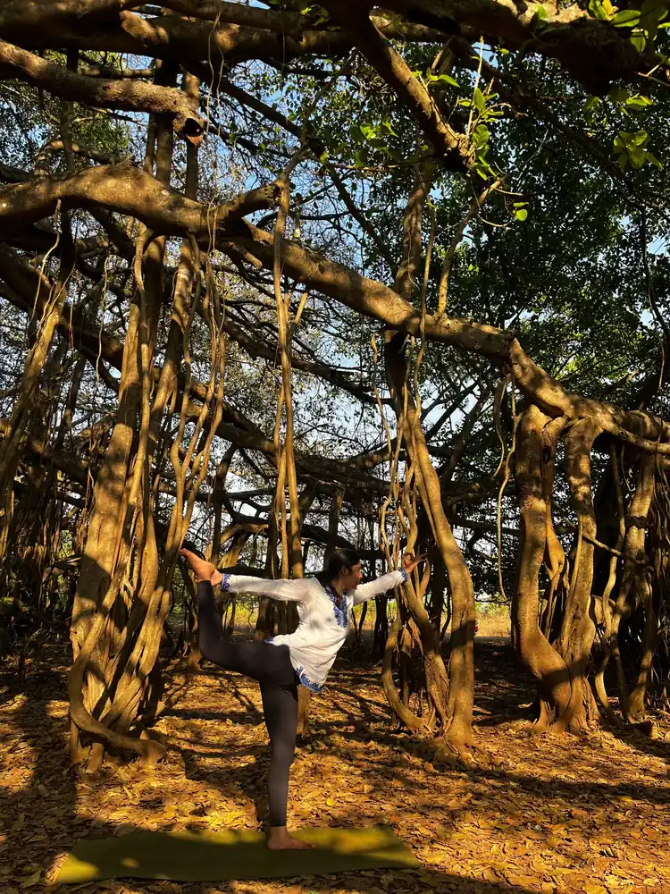 Outdoor yoga practice beneath a banyan tree in Goa